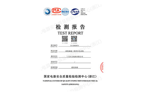 Gear reduction motor test report