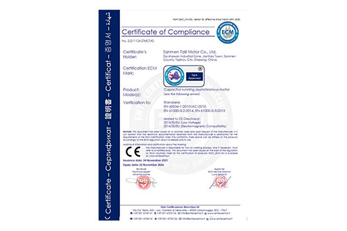 CE(Capacitive operation motor)