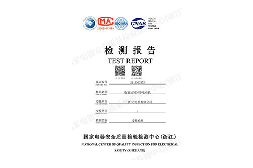 Capacitive operation motor test report