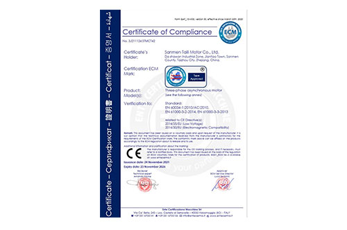 CE(Three-phase asynchronous motor)