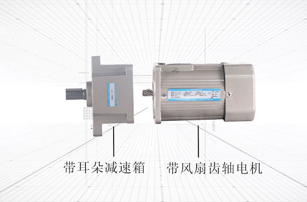 104 type Micro AC gear motor