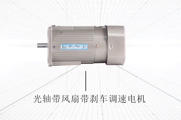 120 type Micro AC gear motor [Product Video]