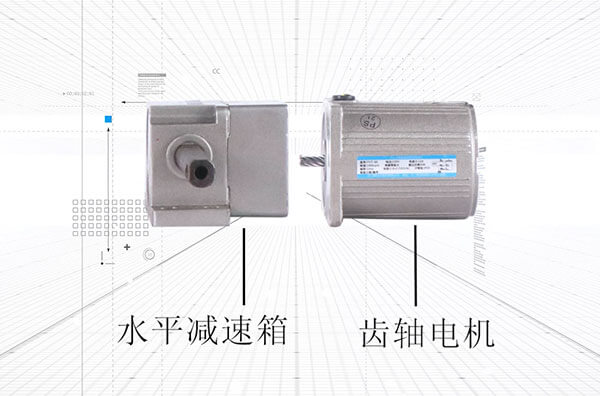 60 type Micro AC gear motor