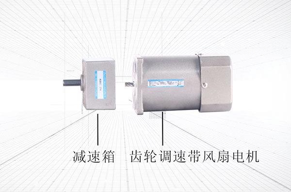 70 type Micro AC gear motor